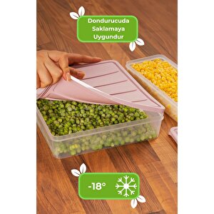 Vakumlu Silikon Kapaklı Dondurucuya Mikrodalgaya Uygun Erzak Saklama Kabı 12'li Set