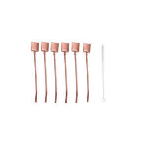 Pipetli Metal Kaşık Seti 6 Adet + Temizleme Fırçası Bronz Renk Köşeli Model Sade