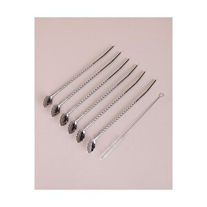 Krom Pipetli Latte Kaşığı Kokteyl Kaşığı Ve Temizleme Fırçası, 22 Cm 6'lı Paslanmaz  Yaprak Model