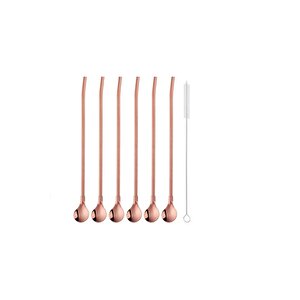 Pipetli Metal Kaşık Seti 6 Adet + Temizleme Fırçası Bronz Renk Sade Model