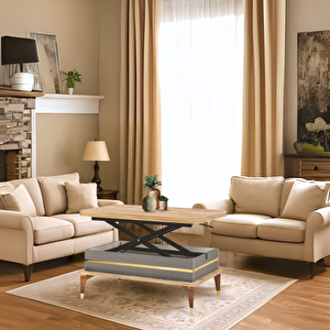 Riva Akıllı Sehpa Atlantik Çam Antrasit Gold Açılır Kapanır Fonksiyonel Sehpa 90x60 Cm