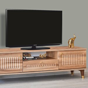 Mindy Tv Sehpası Atlantik Çam 2 Kapaklı 1 Çekmeceli Gold Halkalı Kulplu 160x36x50 Cm