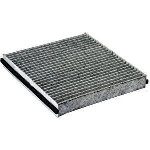 Polen Fi̇ltresi̇ Lgn Ii 1.6-1.8-2.0 01 1.9 Dci 01 Karbonlu