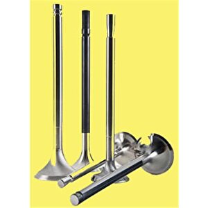 Subap Emme Egzoz R9-r11 1400 Benzi̇nli̇ 8v In-4/ex-4