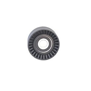 Alternatör Gergi̇ Rulmani Master 2.8