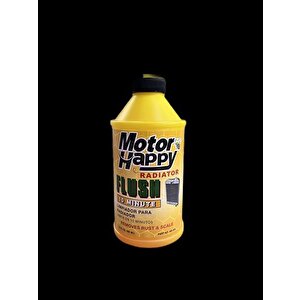 Radyatör Pas Temi̇zleyi̇ci̇ 300ml Koli̇si̇ 24 Adet