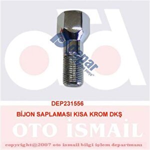 Bi̇jon Saplamasi Kisa Krom Dkş