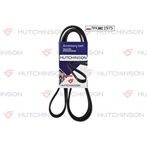 Kanalli Kayis Mercedes Alfa Romeo Lancia Nissan Opel Renault Toyota