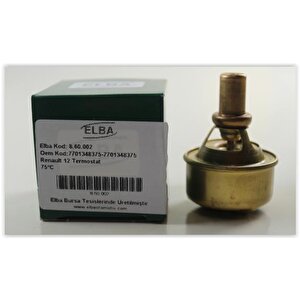 Termostat 75c R12