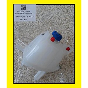 Genleşme Kavanozu Ducato Iii-boxer Iii-jumper Iii 2.3 Radyatör Ek Su Deposu