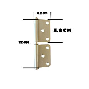 Panel Kapı Menteşesi Çelik Yönsüz Kırılmaz Paslanmaz 2 Mm