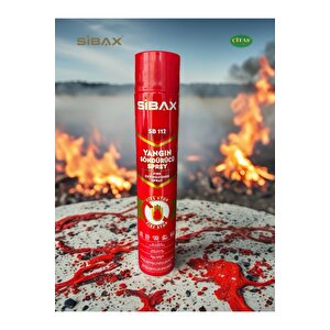 Si̇bax Yangin Söndürücü Sprey 1000ml Büyük Boy Ev-ofi̇s-araba Mi̇ni̇ Yangin Tüpü Soba Şömi̇ne Söndürme