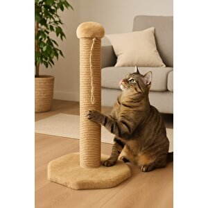 Pet Sekizgen Kedi Tırmalama Platformu Vizon