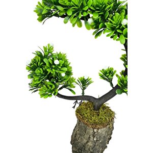 Yapay Çiçek Bonsai Ağacı Kütük Saksıda Beyaz Tomurcuklu Hilal Model Dekoratif Yapay Ağaç Bonzai 30*20 Cm