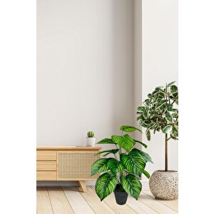 Yapay Çiçek Difenbahya Tropik Sarı Çizgili Salon Çiçeği Siyah Saksılı Yapay Bitki