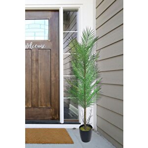 Yapay Ağaç Palmiye 155*50cm 30yaprak Areka Ağacı Siyah Saksıda Tek Gövdeli