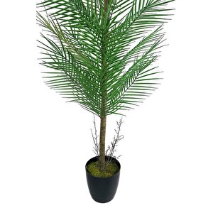 Yapay Ağaç Palmiye 155*50cm 30yaprak Areka Ağacı Siyah Saksıda Tek Gövdeli