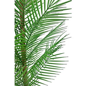 Yapay Ağaç Palmiye 155*50cm 30yaprak Areka Ağacı Siyah Saksıda Tek Gövdeli