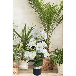 Yapay Çiçek Islak Manolya Çiçeği 12 Çiçekli 65cm Gümüş Halkalı Galvaniz Vazoda Salon Çiçeği