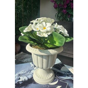 Yapay Çiçek Krem Antik Saksıda Beyaz Kadife Menekşe Gerçekçi Doku 22cm