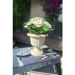 Yapay Çiçek Krem Antik Saksıda Beyaz Kadife Menekşe Gerçekçi Doku 22cm