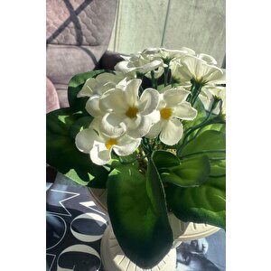 Yapay Çiçek Krem Antik Saksıda Beyaz Kadife Menekşe Gerçekçi Doku 22cm