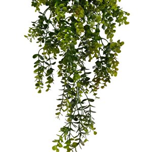 Yapay Çiçek Saksıda Sarkan Şimşir Kahverengi Yeşil Okaliptus Yapay Sarmaşık 60cm