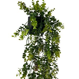 Yapay Çiçek Saksıda Sarkan Şimşir Kahverengi Yeşil Okaliptus Yapay Sarmaşık 60cm
