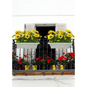 Yapay Çiçek Ay Çiçeği Krem Küpeşte Askılı Saksıda Balkon Çiçeği