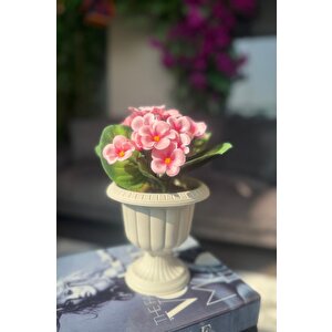Yapay Çiçek Krem Antik Saksıda Pembe Kadife Menekşe Gerçekçi Doku 22cm