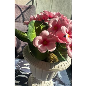 Yapay Çiçek Krem Antik Saksıda Pembe Kadife Menekşe Gerçekçi Doku 22cm