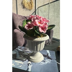 Yapay Çiçek Krem Antik Saksıda Pembe Kadife Menekşe Gerçekçi Doku 22cm