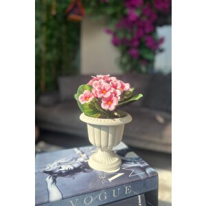 Yapay Çiçek Krem Antik Saksıda Pembe Kadife Menekşe Gerçekçi Doku 22cm