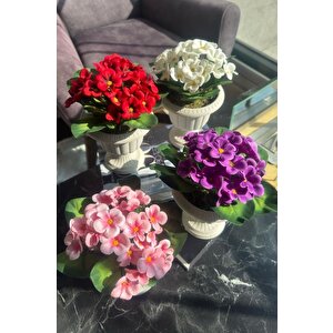 4lü Set Yapay Çiçek Krem Antik Saksıda Karışık Renk Kadife Menekşe Gerçekçi Doku 22cm