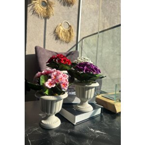 4lü Set Yapay Çiçek Krem Antik Saksıda Karışık Renk Kadife Menekşe Gerçekçi Doku 22cm