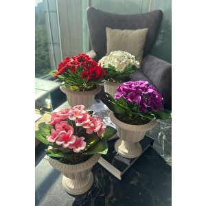 4lü Set Yapay Çiçek Krem Antik Saksıda Karışık Renk Kadife Menekşe Gerçekçi Doku 22cm
