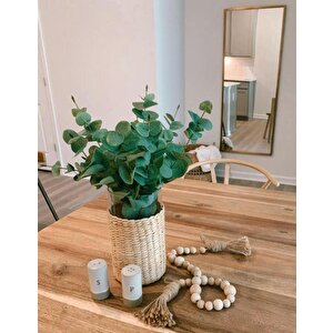 Yapay Çiçek Okaliptus Tek Dal 25cm Yeşil Aradal Garnitür Eucalyptus