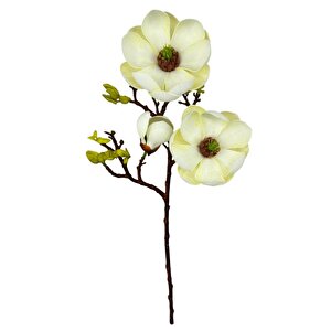 Yapay Çiçek Krem Eva Manolya 2 Çiçek 1 Tomurcuk Uzun Dal Çiçek Flowers 55cm Gerçeksi Doku