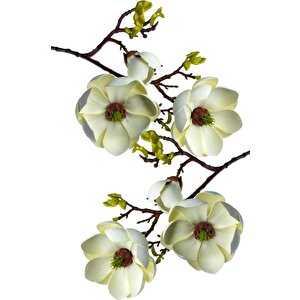 Yapay Çiçek Krem Eva Manolya 2 Çiçek 1 Tomurcuk Uzun Dal Çiçek Flowers 55cm Gerçeksi Doku
