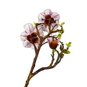 Yapay Çiçek Pembe Açık Eva Manolya 2 Çiçek 1 Tomurcuk Uzun Dal Çiçek Flowers 55cm Gerçeksi Doku