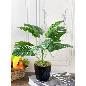 Yapay Çiçek Monstera 9 Dal Siyah Plastik Saksılı Deve Tabanı Dekoratif Süs Çiçeği