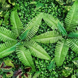 Yapay Çiçek Cycas Aşk Merdiveni Eğrelti Otu Sıkas Bitkisi 24 Yaprak 45*60 Cm Yapay Bitki