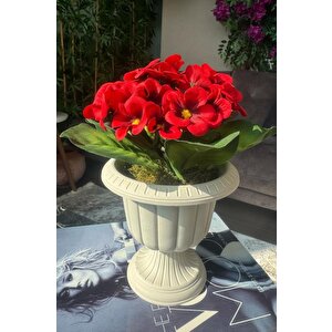 Yapay Çiçek Krem Antik Saksıda Kırmızı Kadife Menekşe Gerçekçi Doku 22cm