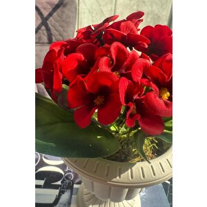 Yapay Çiçek Krem Antik Saksıda Kırmızı Kadife Menekşe Gerçekçi Doku 22cm