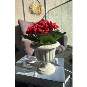 Yapay Çiçek Krem Antik Saksıda Kırmızı Kadife Menekşe Gerçekçi Doku 22cm