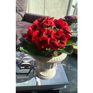 Yapay Çiçek Krem Antik Saksıda Kırmızı Kadife Menekşe Gerçekçi Doku 22cm