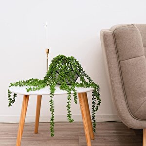 Yapay Çiçek Sarkan String Okaliptus 70cm 3dal