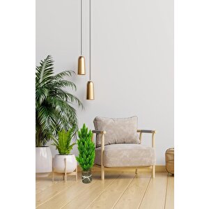 Yapay Çiçek Kütük Saksıda Çam Ağacı 50cm