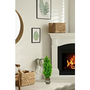 Yapay Çiçek Kütük Saksıda Çam Ağacı 50cm