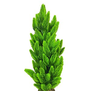 Yapay Çiçek Kütük Saksıda Çam Ağacı 50cm